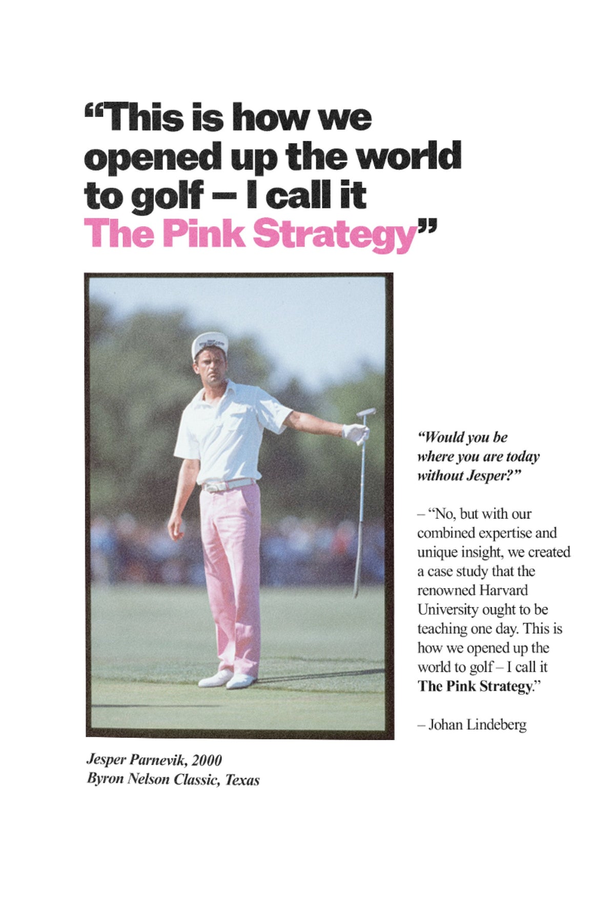 The Pink Strategy - celebrating 30 years of making a dent. 