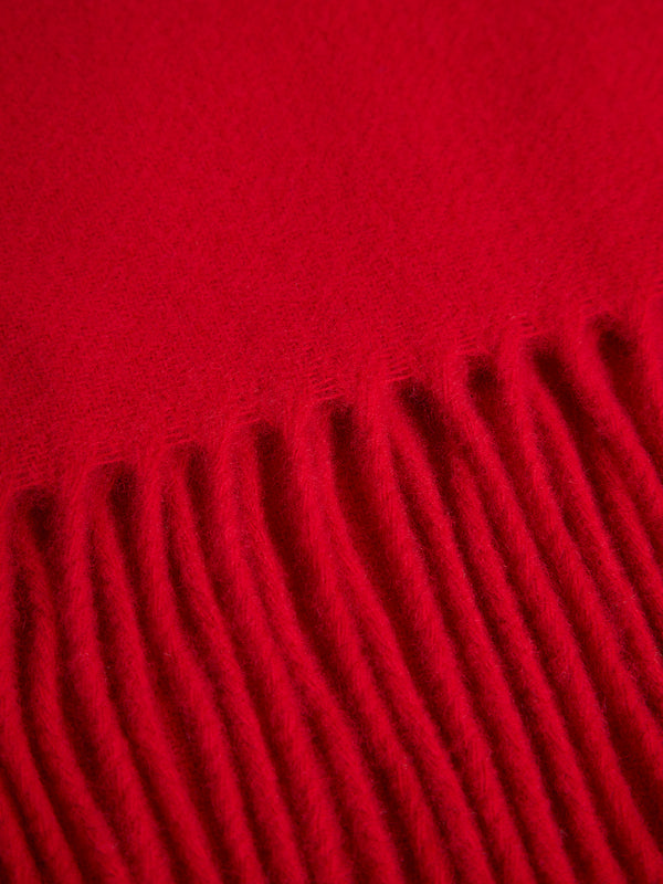 Champ Solid Wool Scarf / Barbados Cherry