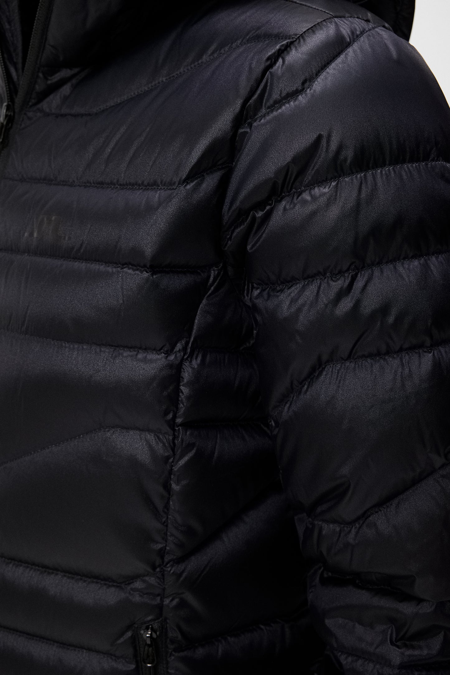 W Cliff Light Down Hood / Black