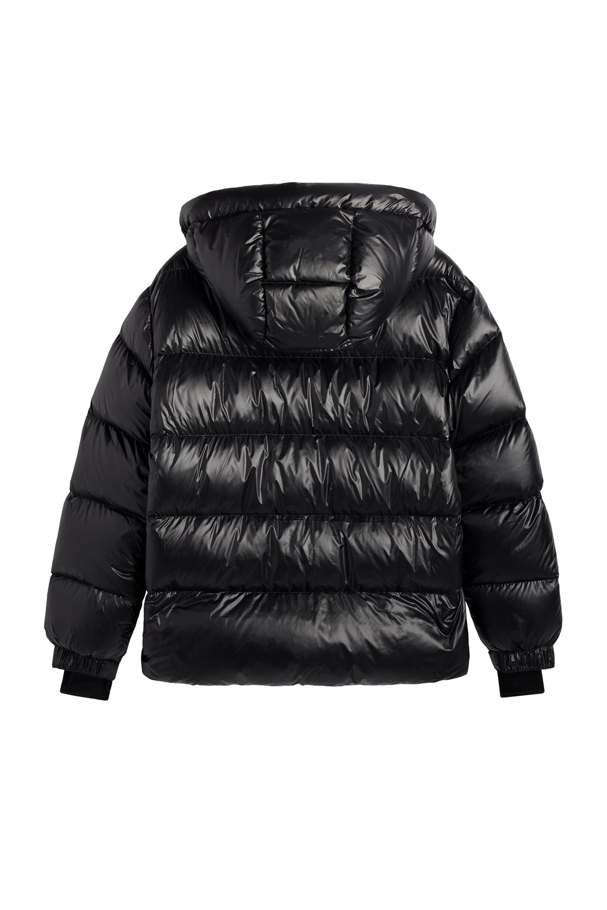 Vue de dos : Creek Down Jacket noire au fini brillant avec capuche et matelassage horizontal.