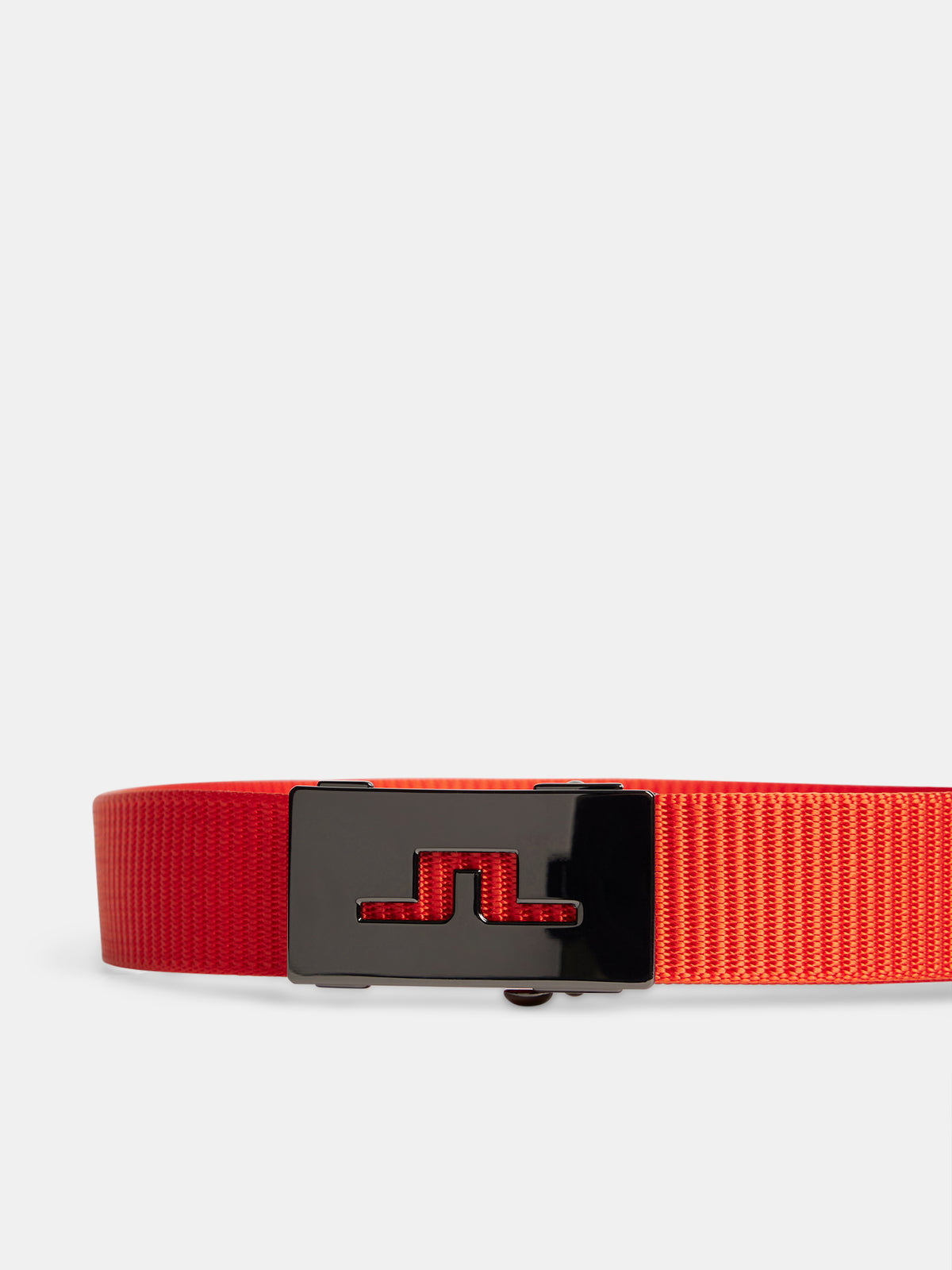 Roy Webbing Belt / Tangerine Tango
