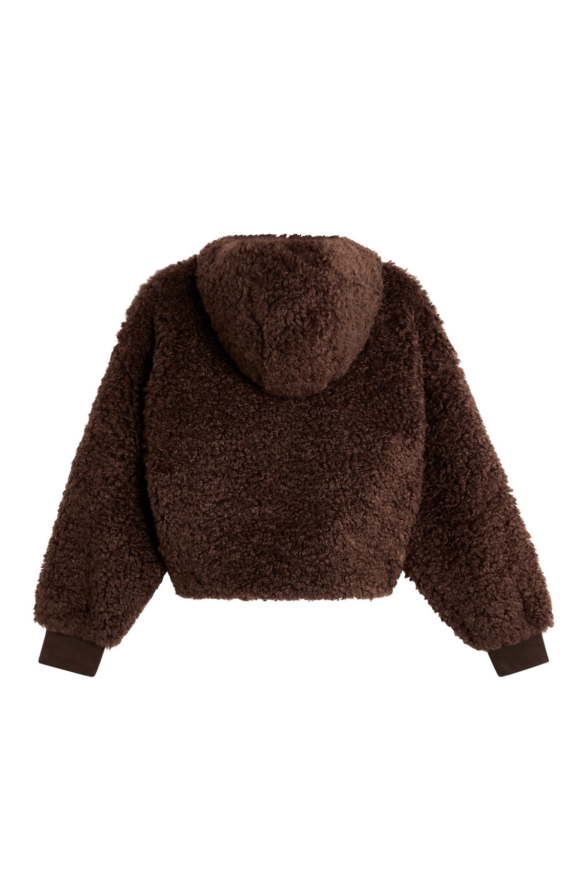 Elina Pile Jacket in Seal Brown, back view showing the hood, textured pile fleece, and ribbed cuffs.