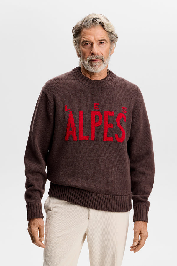 Fabian Graphic Knit Sweater / Seal Brown