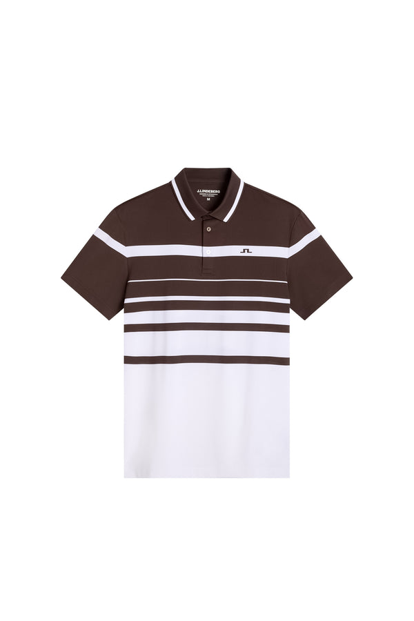 Leo Stripe Polo / Seal Brown