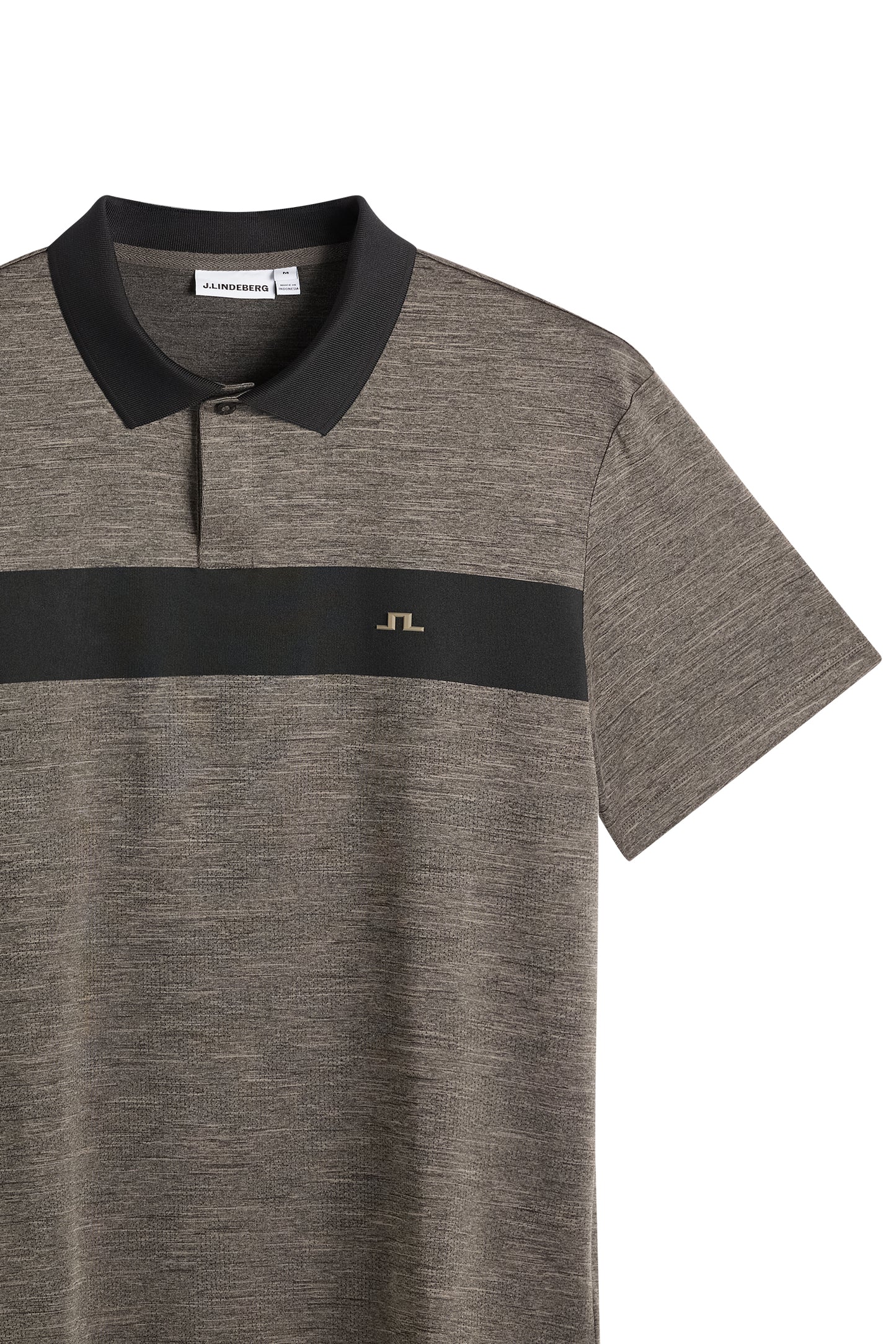 Nahaufnahme: Rocky Polo in Brindle mit Kontrastkragen, schwarzem Bruststreifen und Bridge-Logo.
