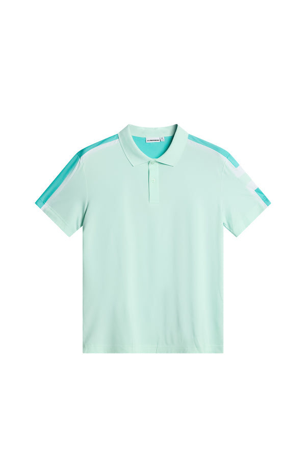 Viggo Polo / Bay