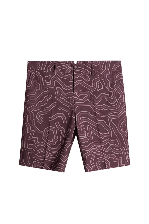 Eloy Print Shorts / Topo Huckleberry L