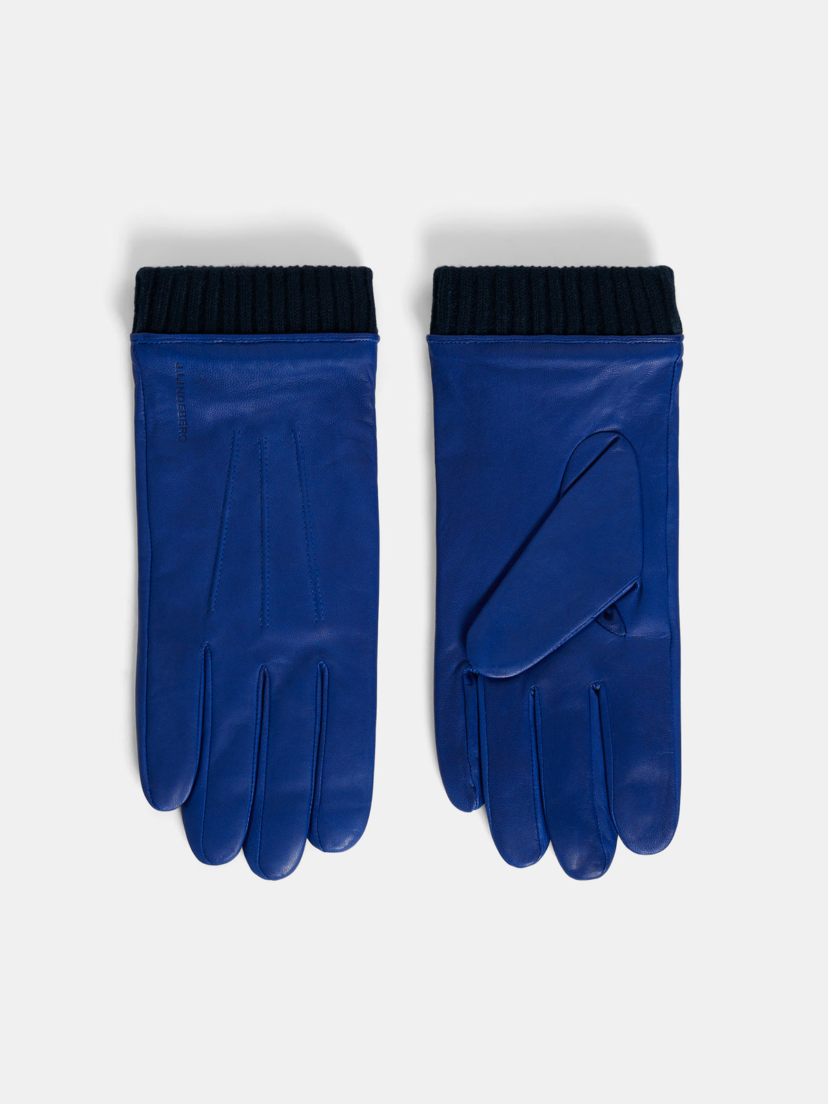 Myles Leather Glove / Surf the Web