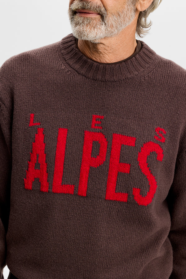 Fabian Graphic Knit Sweater / Seal Brown