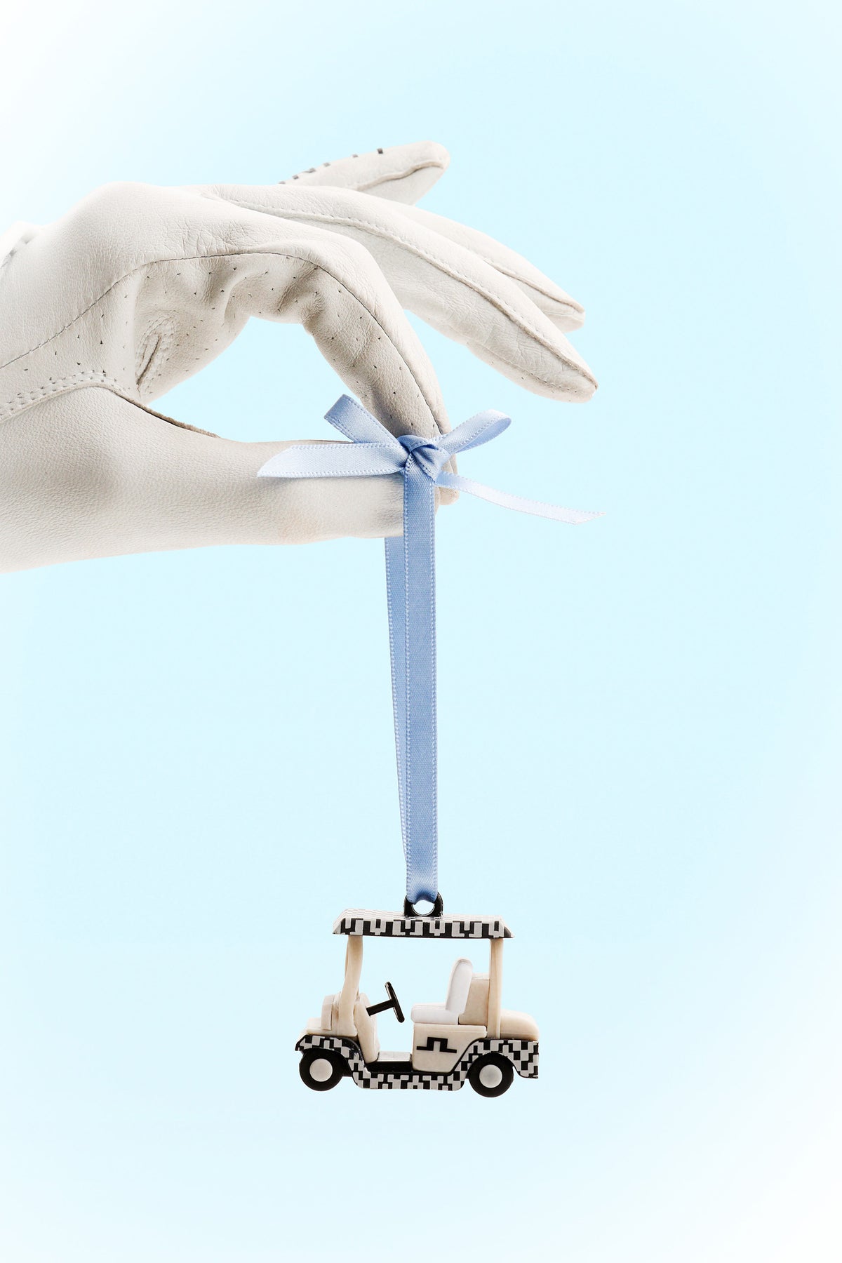 Ron Leather Golf Glove A / White