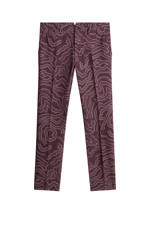Ellott Print Pant / Topo Huckleberry L