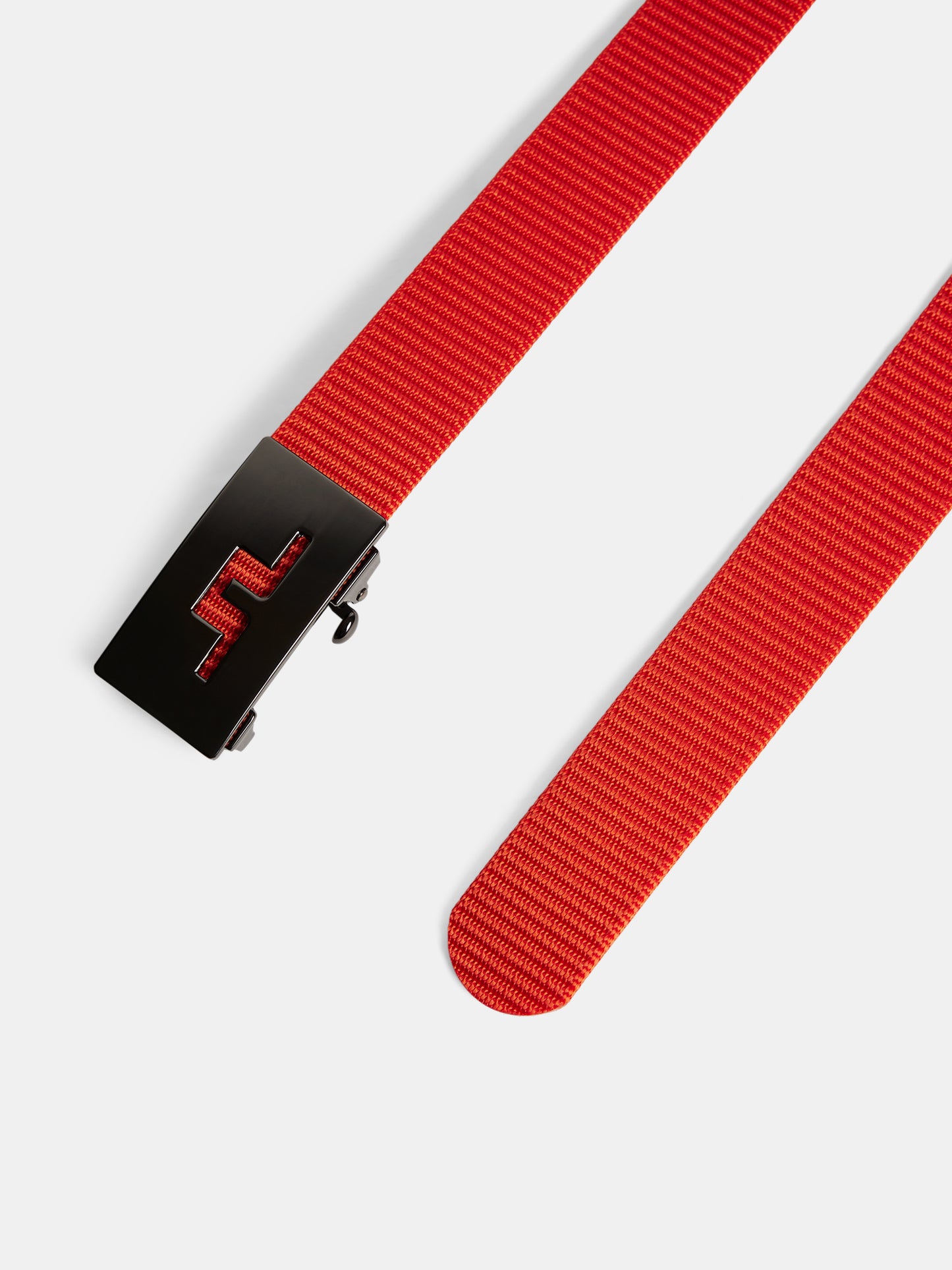Roy Webbing Belt / Tangerine Tango