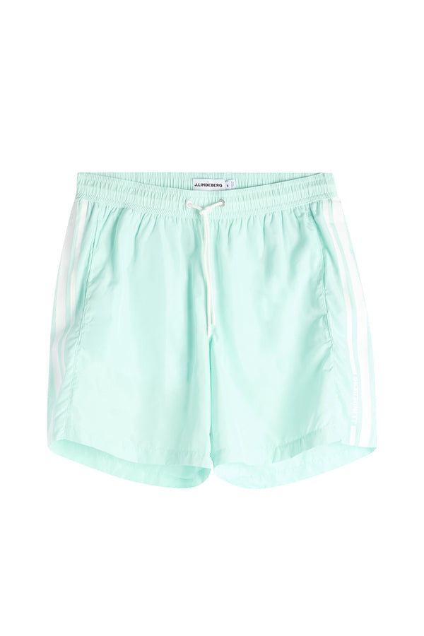 Delta Stripe Swim Shorts / Bay