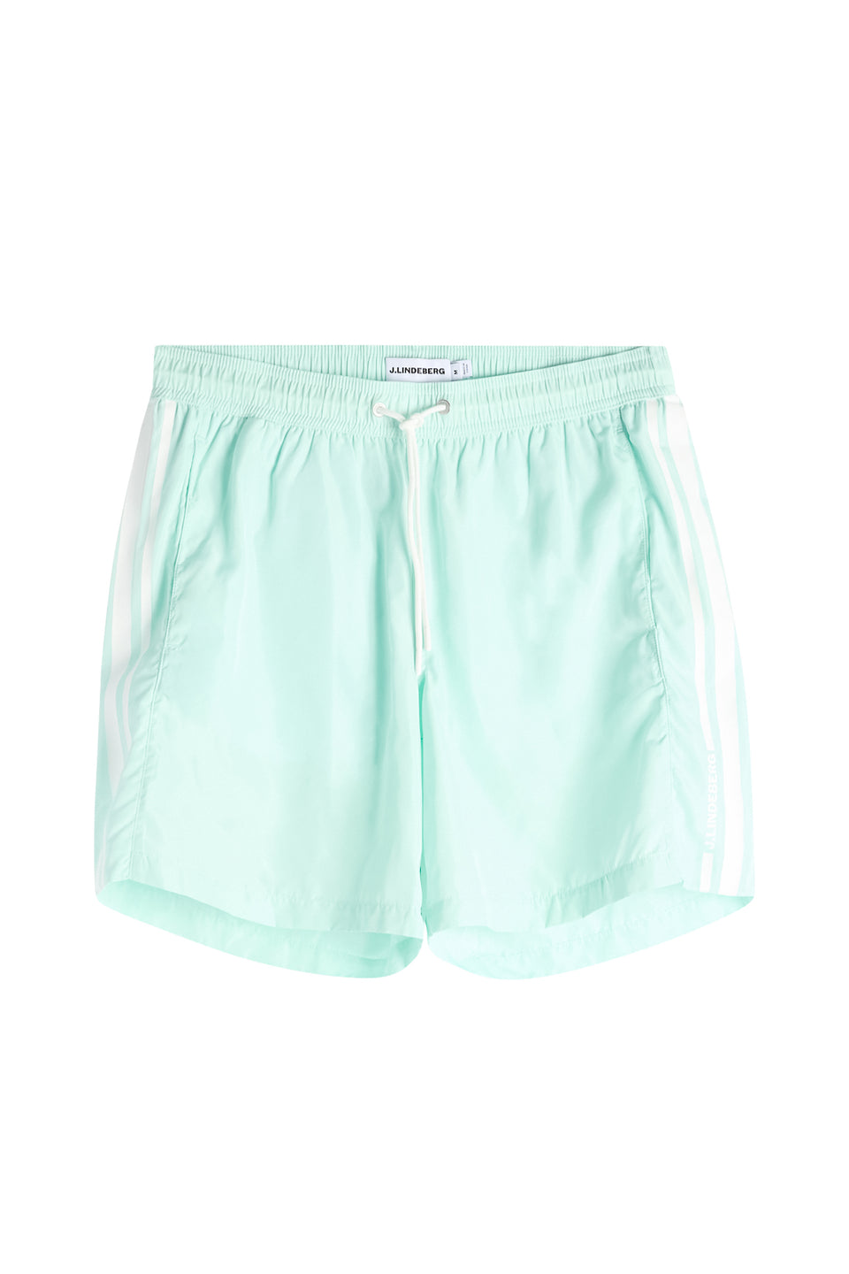 Delta Stripe Swim Shorts / Bay