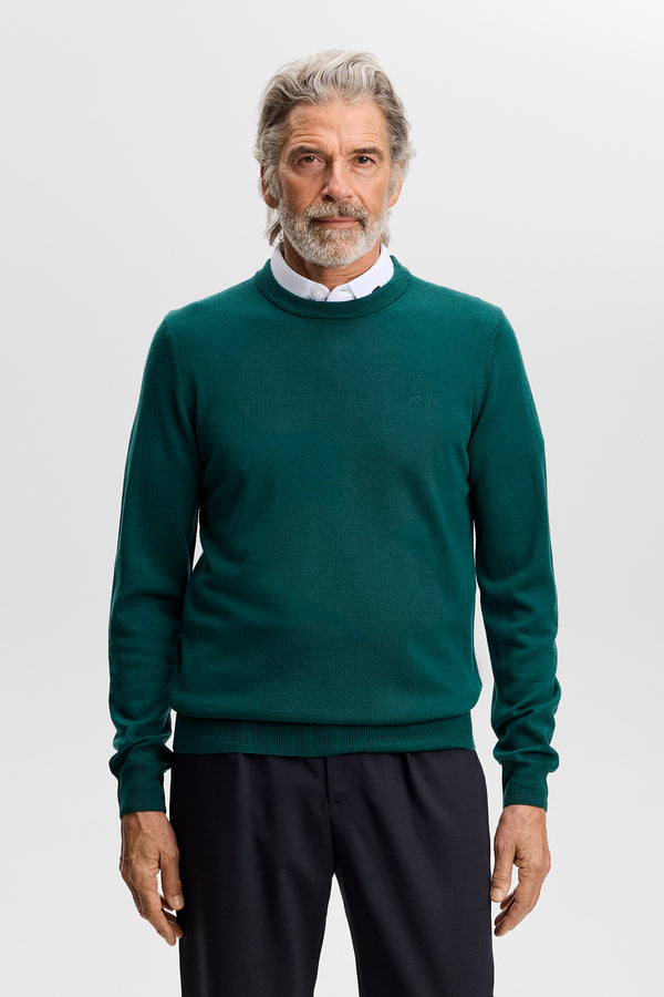 Keane Merino Crew Neck / Forest Biome