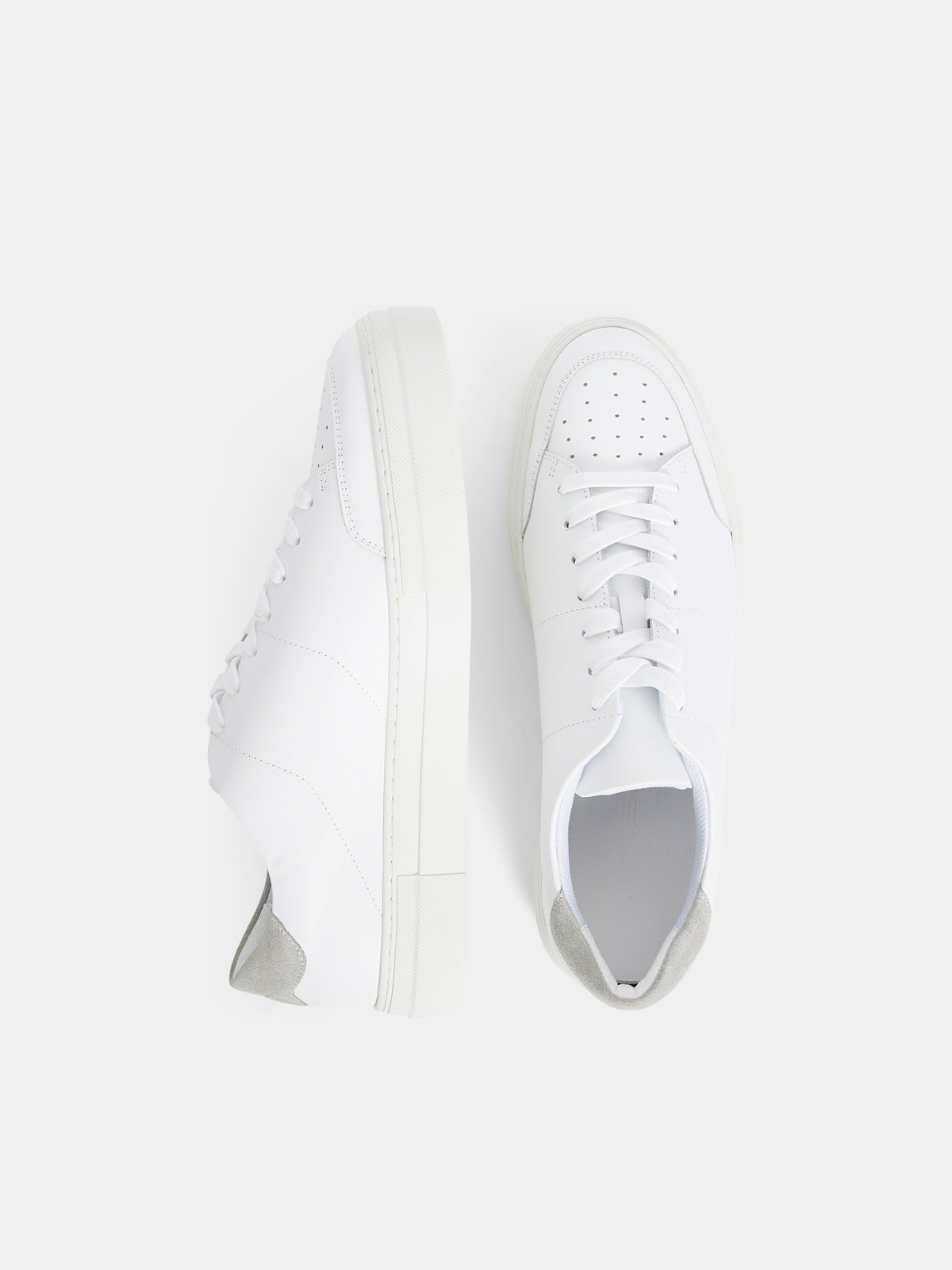 Art Signature Leather Sneaker / White