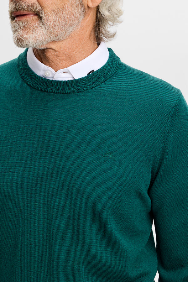 Keane Merino Crew Neck / Forest Biome